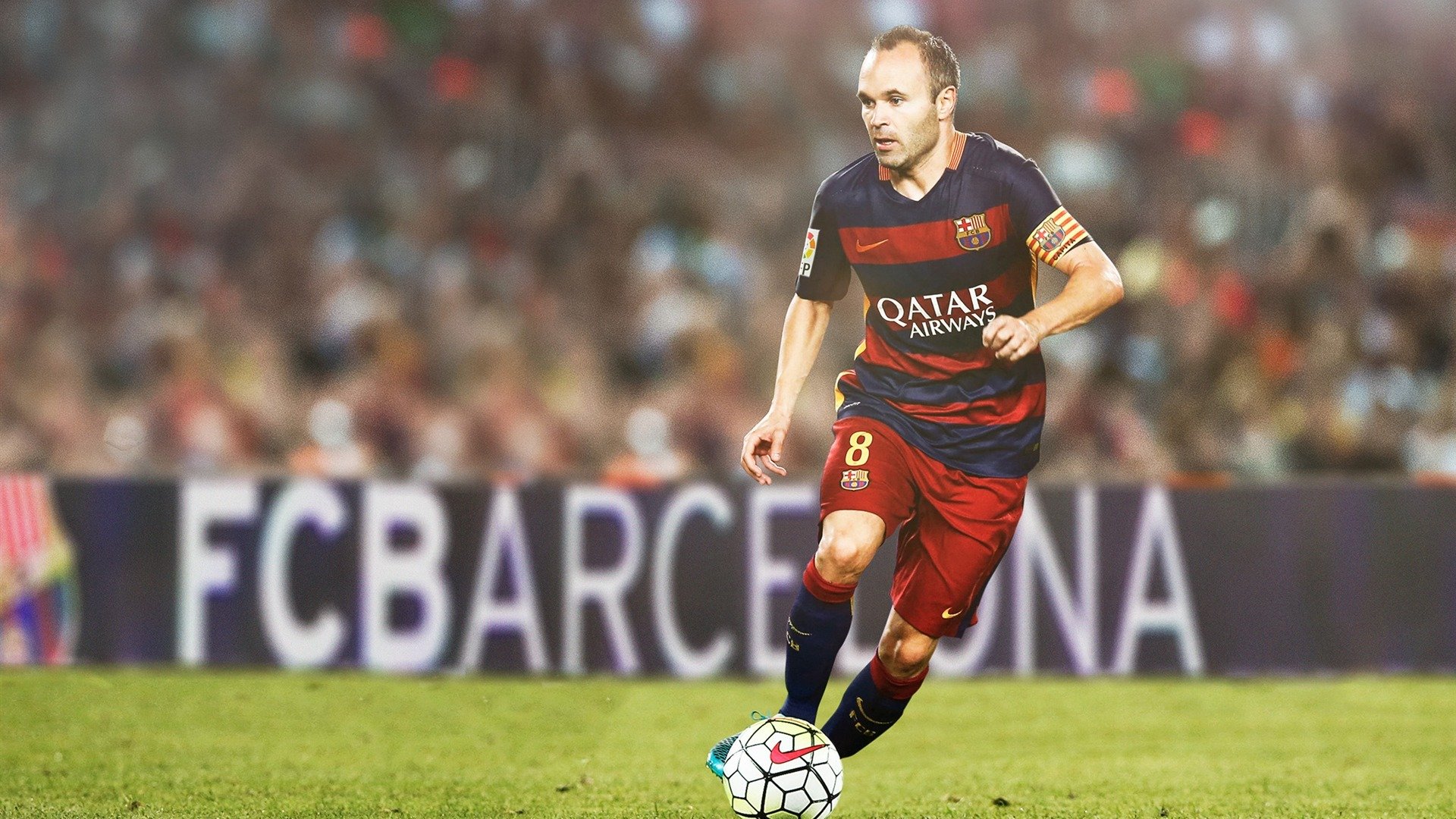 美洲杯球迷的数字化参与平台,美洲杯球迷的数字化参与平台是什么